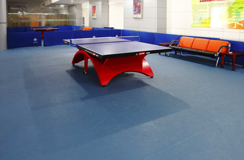 乒乓球/网球运动PVC地板