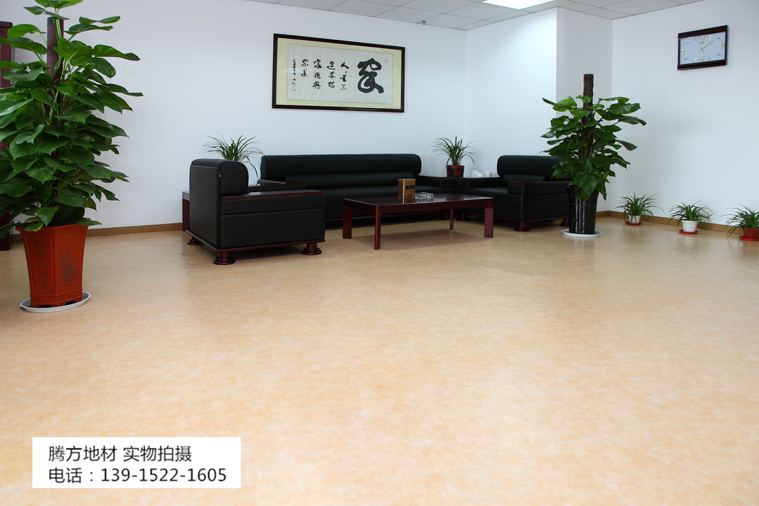 腾方PVC地板