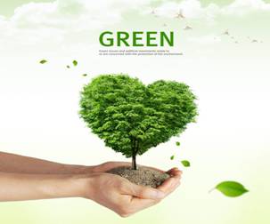 绿色安全PVC塑胶地板——绿色环保小能手